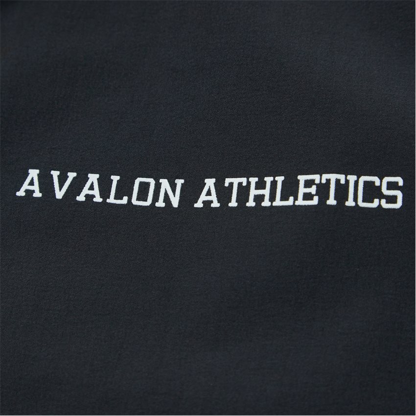 Avalon Athletics Sweatshirts BAYSIDE DARK GREY